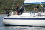 storm free 1991t storm free 1991t whyw24 sun 800 5464